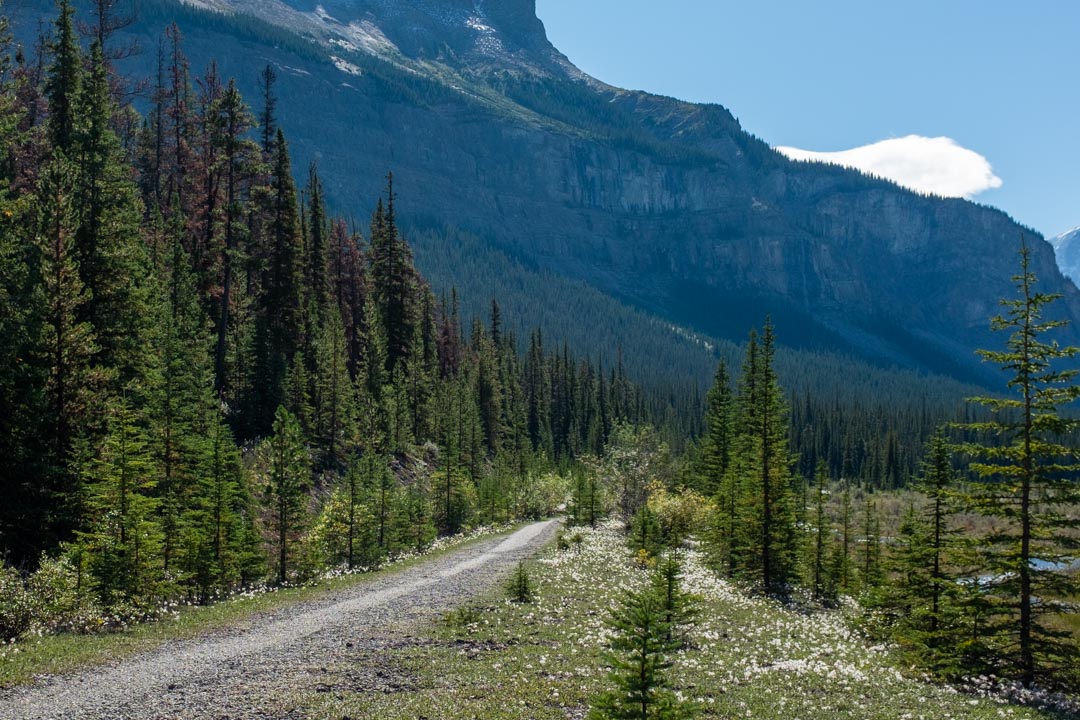 Hike The Canadian Rockies