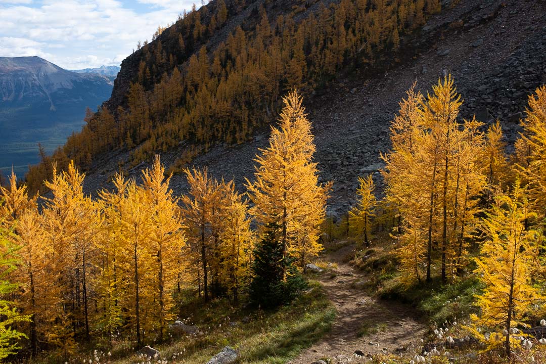 Hike the Canadian Rockies