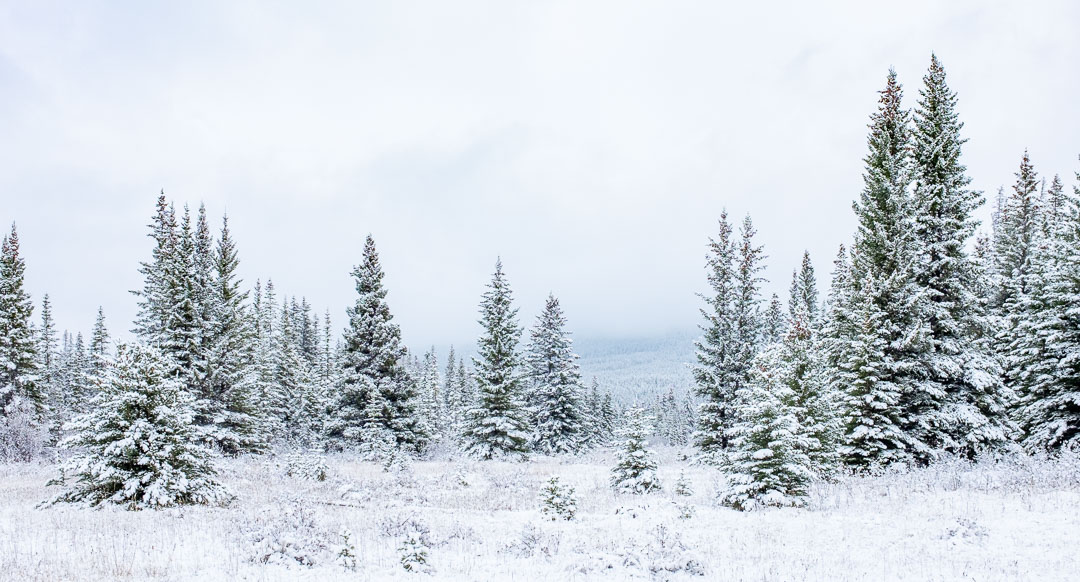 Hike the Canadian Rockies